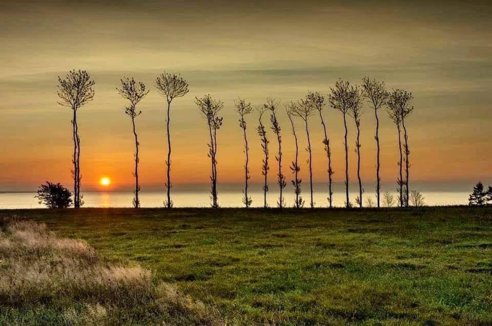 Domek Morski Swarzewo Luaran gambar